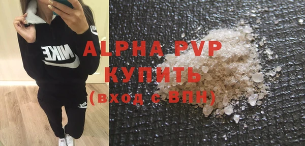 амф Горняк