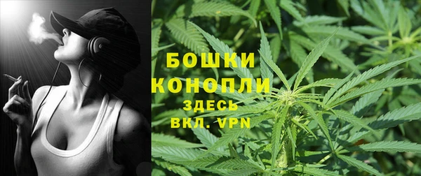 дмт Горно-Алтайск