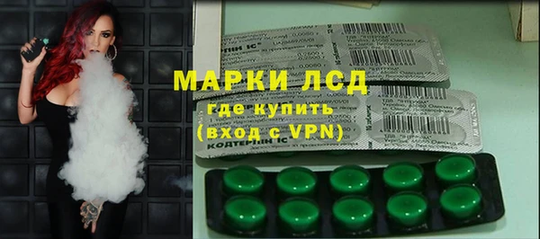 амф Горняк